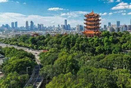 www,麻豆av-单向之旅，www与麻豆av的交错视角